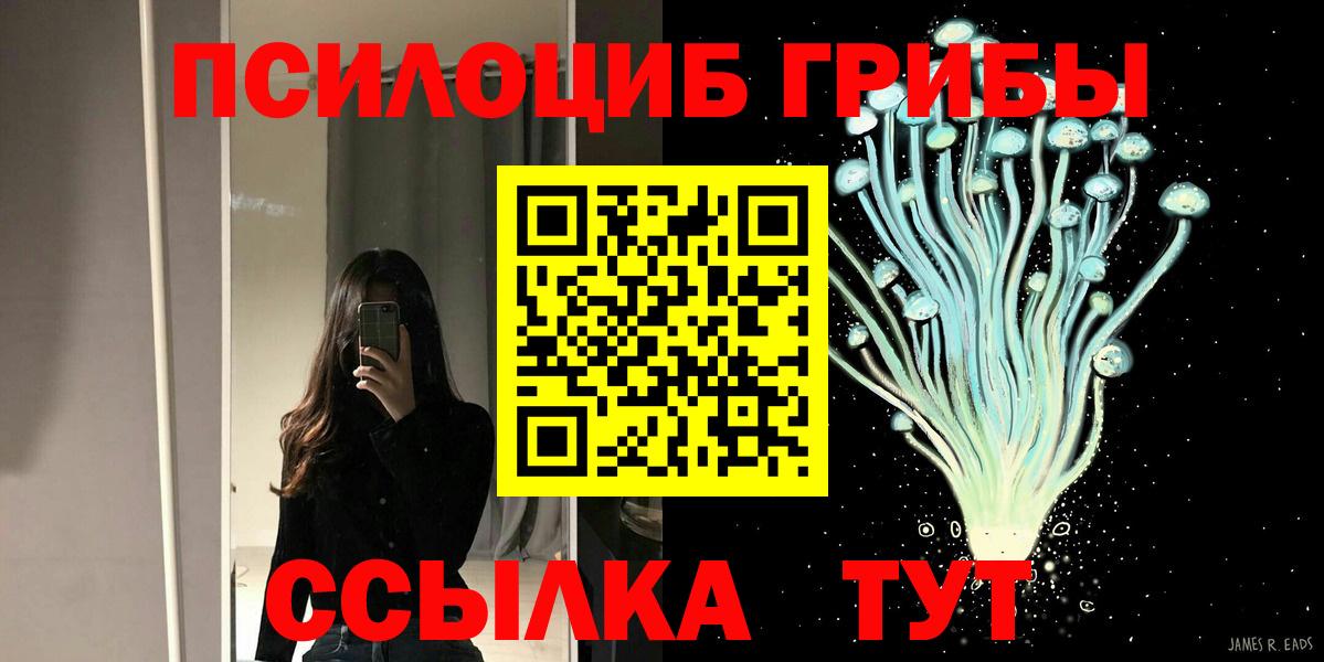 Галлюциногенные грибы Psilocybe Надым